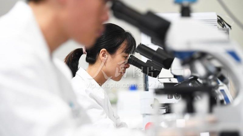 抗体CDMO工艺流程：揭秘生物制药的“幕后英雄