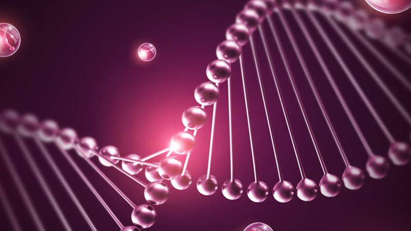 创新药CDMO项目报价单：揭秘背后的考量因素
