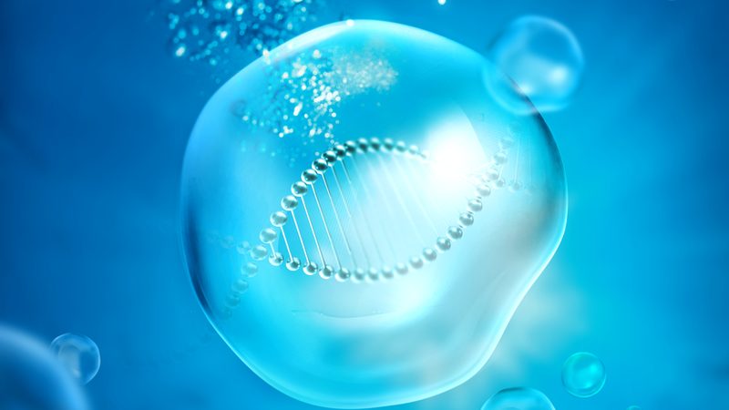 小分子CDMO：揭秘研发背后的关键伙伴**