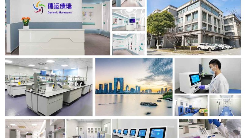 上海CDMO质量标准：揭秘药品研发背后的质量控制密码