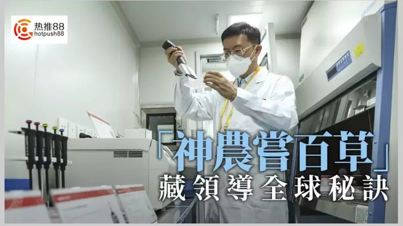 荧光定量PCR试剂盒：进口与国产的较量**