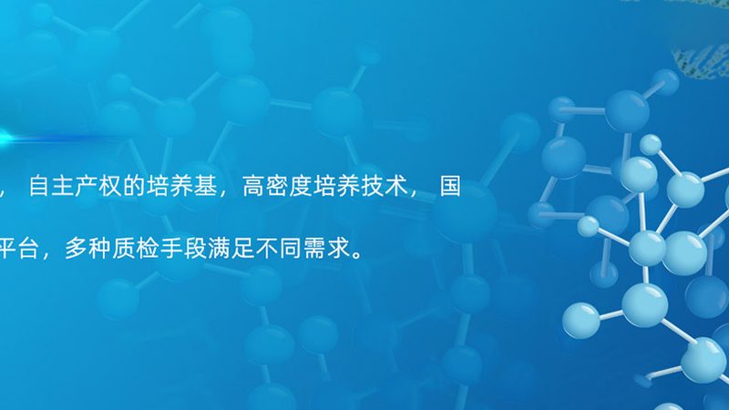 上海CDMO项目合作：揭秘高效合作流程