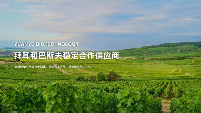 CDMO公司排名标准有哪些