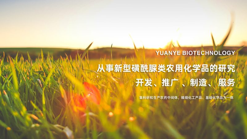 CDMO委托生产报价：揭秘医药研发中的关键环节