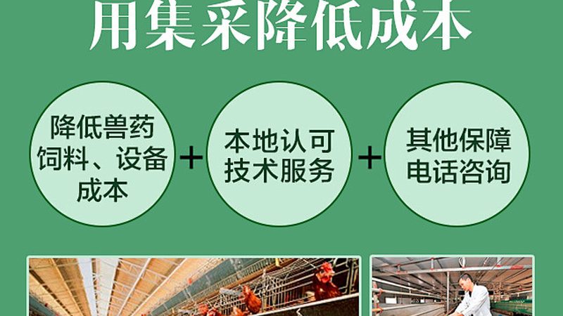 CRo工具：揭秘其在生物科技行业的应用奥秘