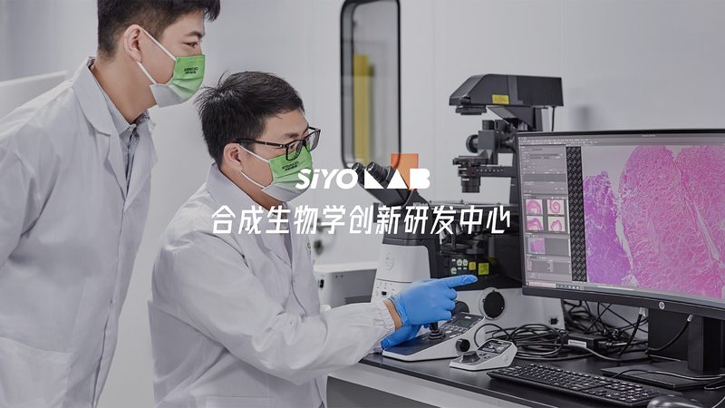 引物合成：如何精准选择参数，助力精准科研？**